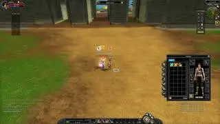 vSRO Exchange Bug