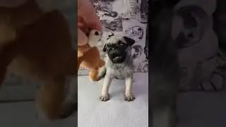 Мопсик ГАЛАКТИКА ЛЮБВИ ХРУСТАЛЬНЫЙ ЛОТОС ‼️