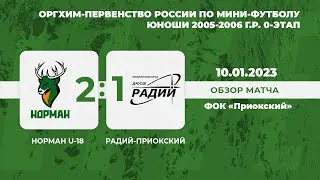 Норман U-18 - Радий-Приокский 2-1