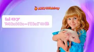 Шоу мини-пигов для детей