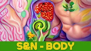 Seed & Nourish - Body