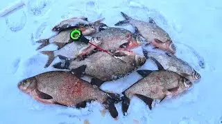 Ловля ЛЕЩА в феврале 2023! Рыбалка на ОКЕ! Ловля леща на мормышку!