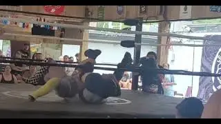 Spike gets flattened by Clara