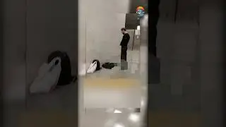 Намаз нельзя, а провокацию — можно