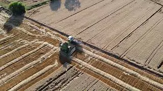 Tomas Aéreas en Cosecha de Trigo con el DJI Mini SE