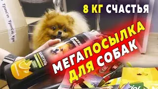 Package for dogs. TRIOL, Gamma, GiGwi. Treats, shampoo, conditioner, slickers, paw wax