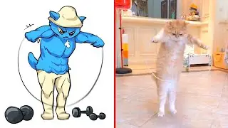😂Cat Memes: We Live, We Love, We Lie - Smurf Cat 😹 | Pet's Life