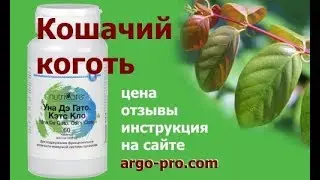 Уна дэ Гато, Кошачий коготь   самое мощное средство для иммунитета