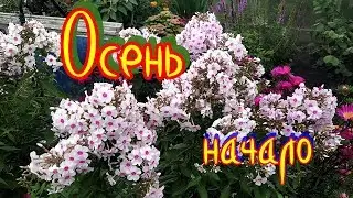 #Гуляю