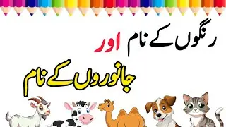 Name of colors and Animals || Class Prep syllabus || Play and Learn with Ayesha 