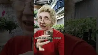 рассада не растёт! что делать? 