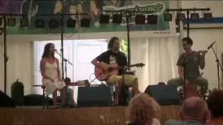 Folk Fellows - Homeward Bound (cover)