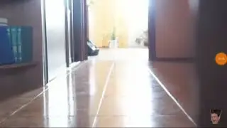 Смешные моменты с тигрой