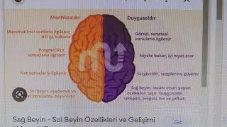 sag beyin sol beyin çalışma etkinliği/ 6i