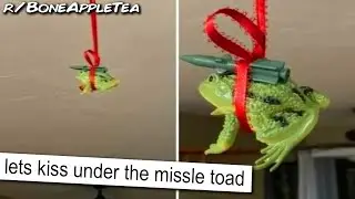 Under The Missle Toad 😳 | r/BoneAppleTea