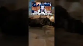 You’ll Like Black Ops 6 If….