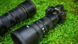 Nikon buyer's guide for wildlife photography – advanced users & professionals