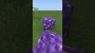 This took ages 😭 #fypシ #shorts #song #minecraft