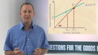 Questions for the Goods Market