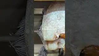 Вкусный вяленый ёрш.