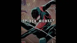Miles edit