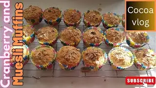 How to make a Cranberry and Muesli Muffin | Cocoa vlog channel