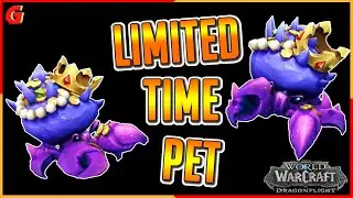Do NOT MISS Out on the Fathom Pet - Time Limited
