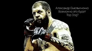 Александр Емельяненко/Может провести бой на Top Dog.