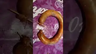 ҚАЗЫ АЙНАЛДЫРУ! МЕНІҢ ЮТУБ АРНАМНАН ТОЛЫҚ РЕЦЕПТ КӨРЕ АЛАСЫЗДАР! //SHORTS BIDEO