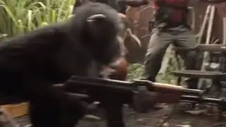 Diddy Kong
