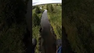 По лугам и перелескам.