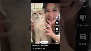 я и мои подписчики
