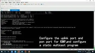 C-Data GPON  OLT Configuration of Multicast Service with Realtek Chipset HGU Use CLI Command Method