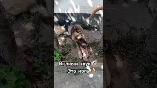 Друг был так себе 😕