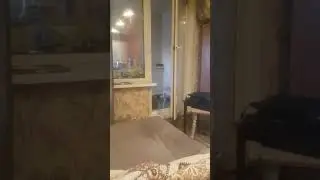Боня и Багира играют в салки
