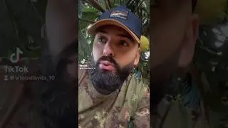 Ma tu limoni? 🍋