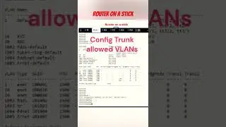 How to configure a router on a stick? 