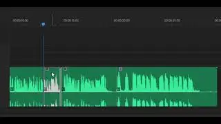 Chipmunk Voice - Tutorial Premiere Pro