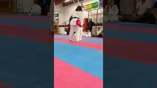 Лео, отчет по Тайквондо 2