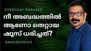 Everyday phrases | നീ അബദ്ധത്തിൽ ആണോ തെറ്റായ ഷൂസ് ധരിച്ചത്?