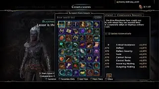 Neverwinter The Blaspheme Assassin Companion Debuff is Broken (in a bad way)