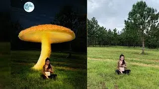 Mushroom Light Photo Manipulation Photoshop Tutorial