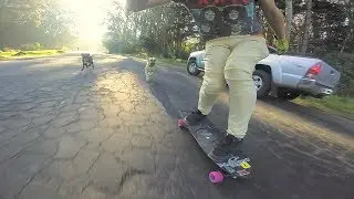 Dogs Chase Longboarder Down Dangerous Hill