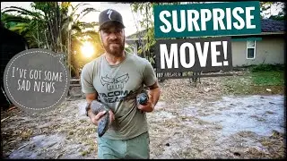 We MOVED the Black Throats EARLY + Super SAD NEWS