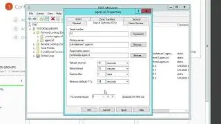 Windows Server 2012 Domain Name System (DNS)