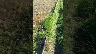 Будда