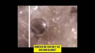 Insider talking about Aliens - Moon Bases - Apollo