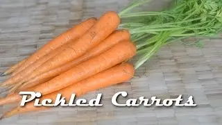 Pickled Carrots
