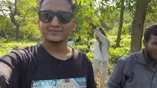 একদিনের ট্রিপ।চা বাগান ঘুরাঘুরি। সিলেট |  Tanzirl | Sylhet | Vlog 01