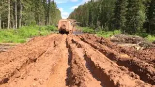 Поездка в лес